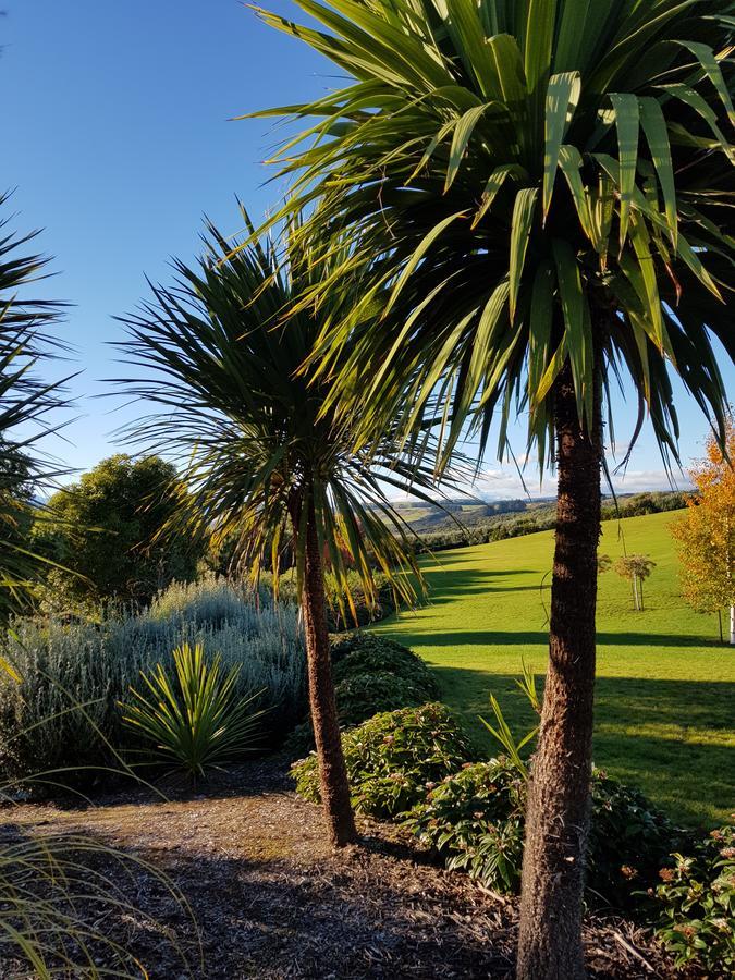 Murchison View Studio Te Anau Extérieur photo